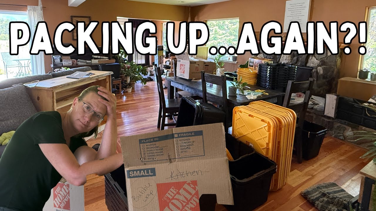 Wait… Are We Really Doing This? Farmhouse Vlog Update.