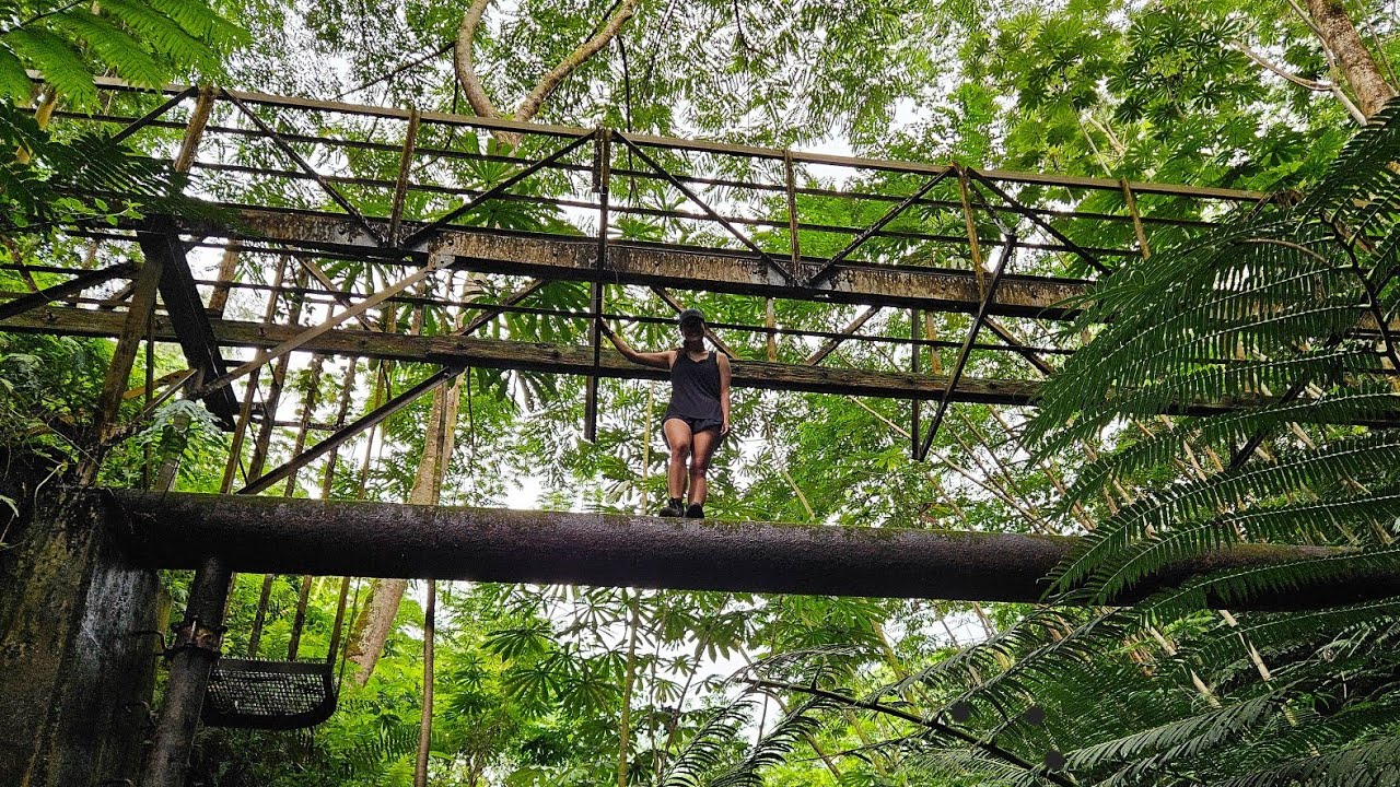 WE FOUND THE BRIDGE *maunawili falls pt2