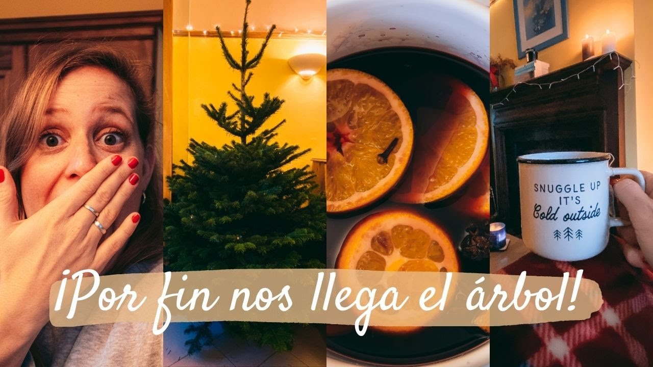 Receta fácil MULLED WINE - Receta vino caliente