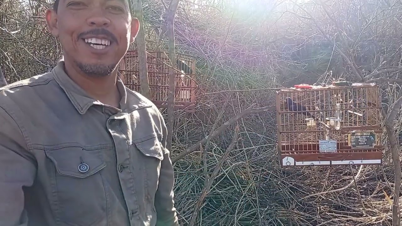 Azulão piratinha na Campeada pegando mais um 