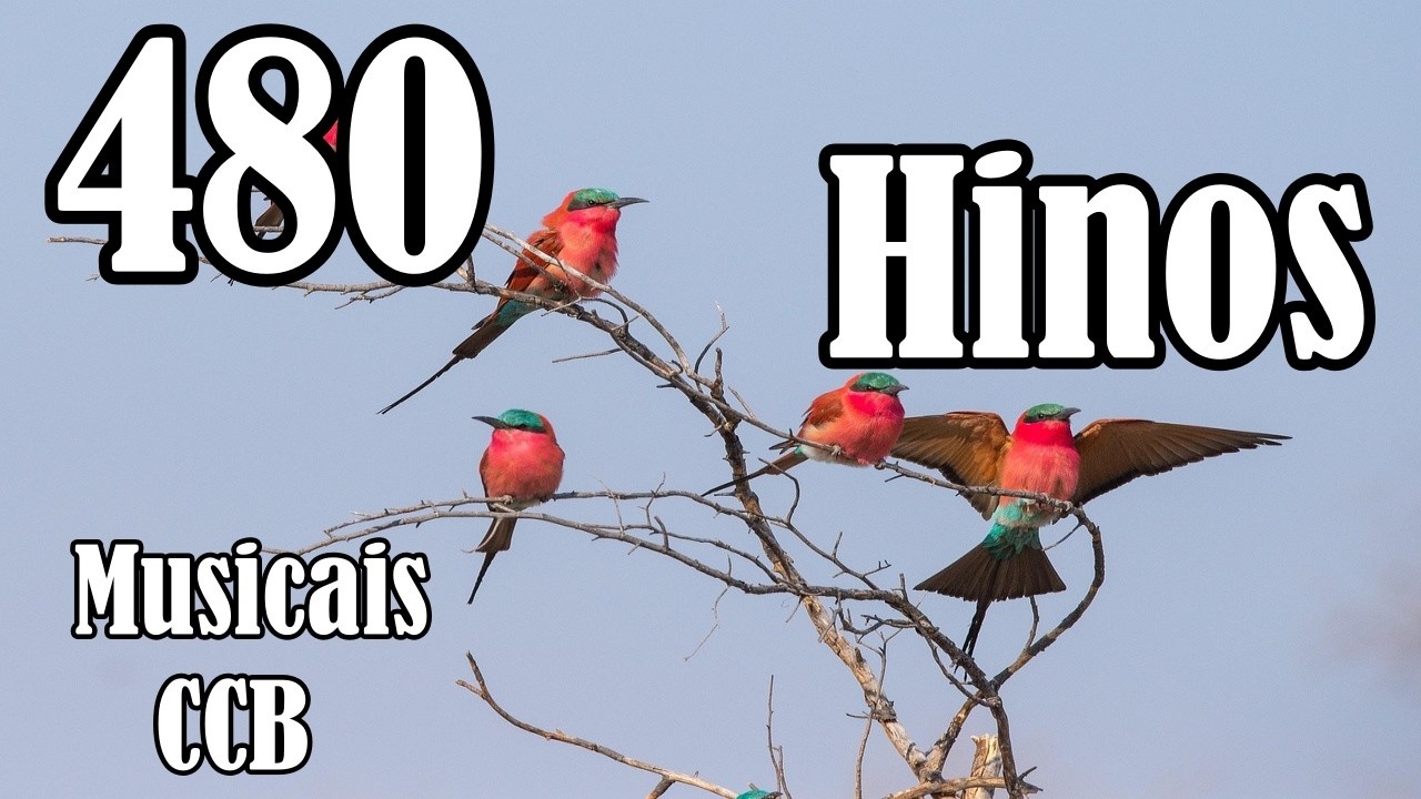 480 Hinos Cantados CCB - 100,102,104,105,106,107,108,109,110,111,112,113,114,115 - Musicais CCB