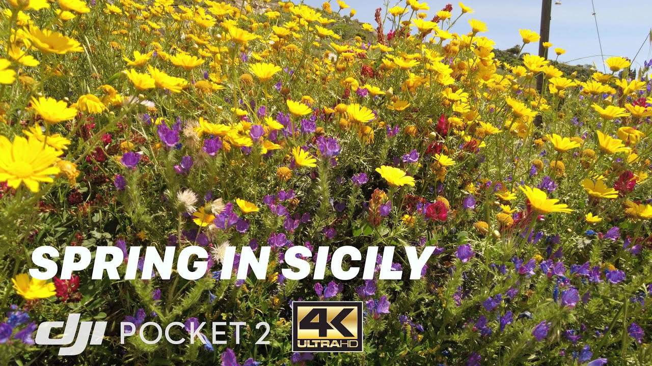 Primavera | Spring in Sicily | DJI pocket 2 | Cinematic | 4K UHD