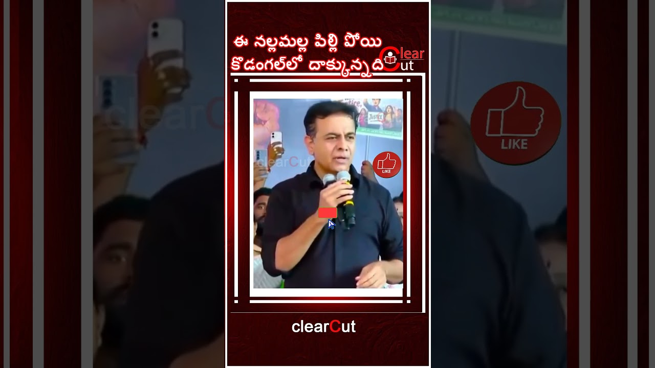e nalama pili poe kodangal la dakunadi says ktr to cmrevanthreddy