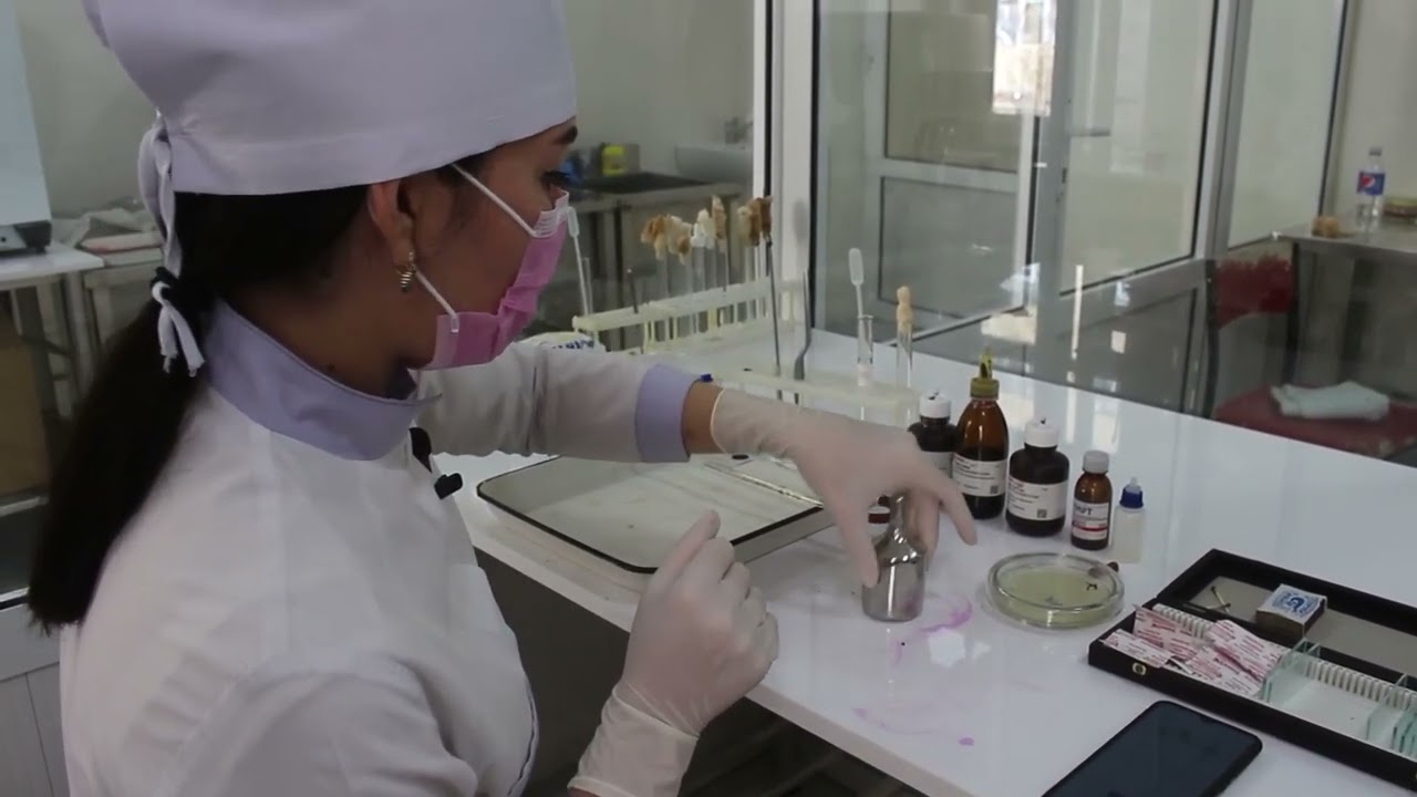 Сложные методы окраски