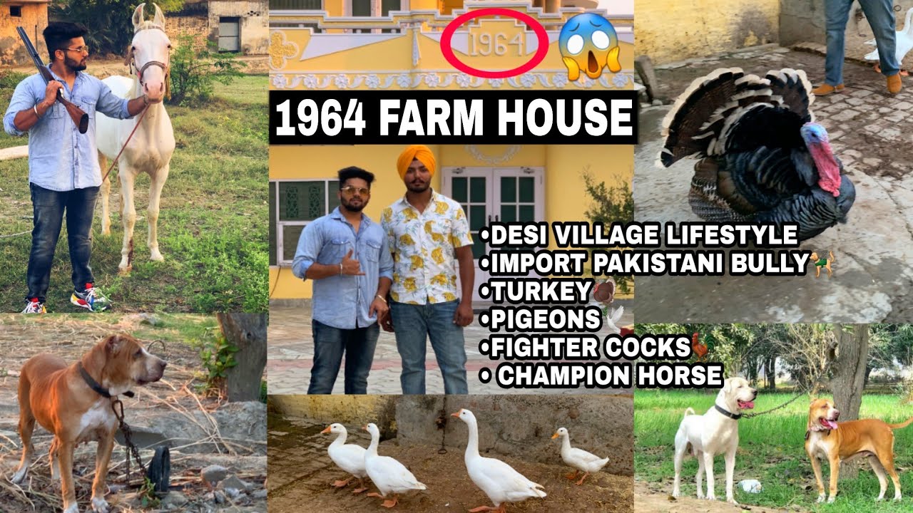 Visiting India`s Ancient Farm House | Desi Village Life in India | Pakistani Bully | Farm House Tour