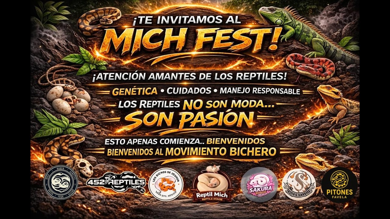 MICH FEST FEBRERO 2026