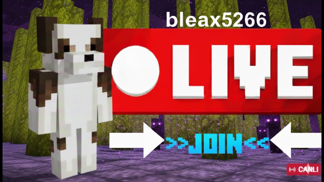 🔴DONUTSMP BASE RATING LIVE 250K-5M PER BASE🔴