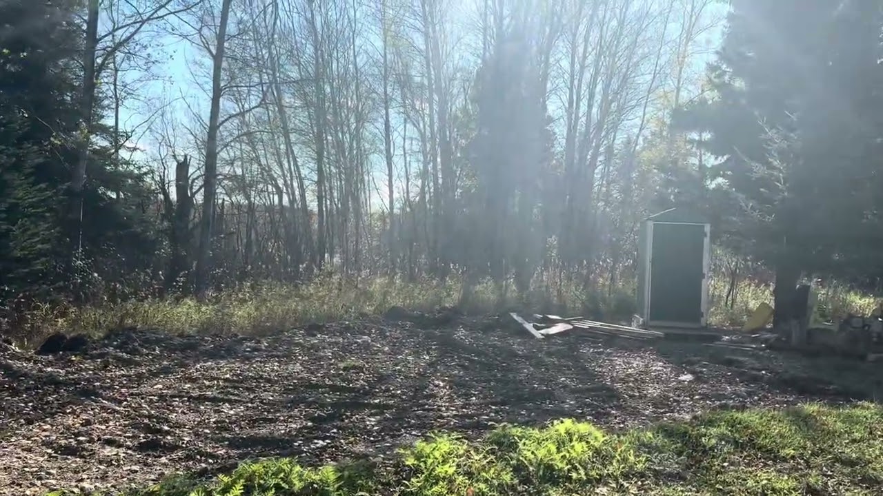 Trees are coming down 