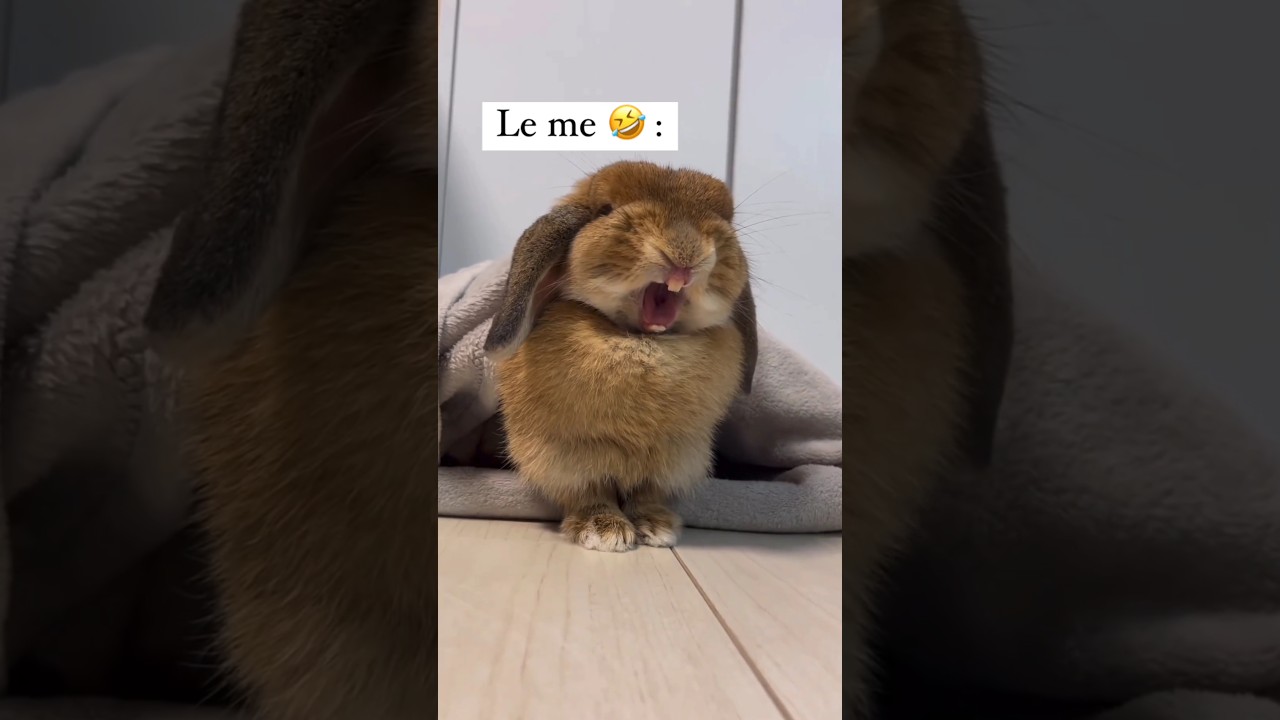 tum ladke ho aaram se hansa karo 🤭😂😜