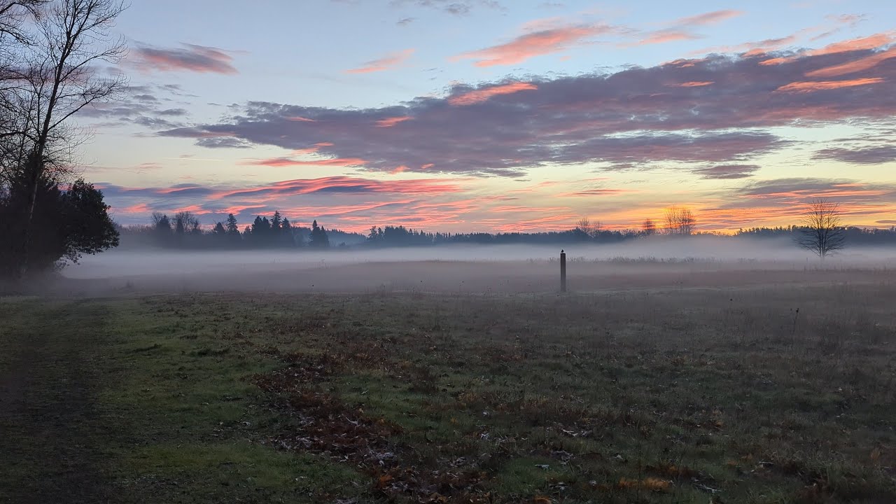 Quiet Morning Solo Walk | Sunrise & Fog at Champoeg State Park