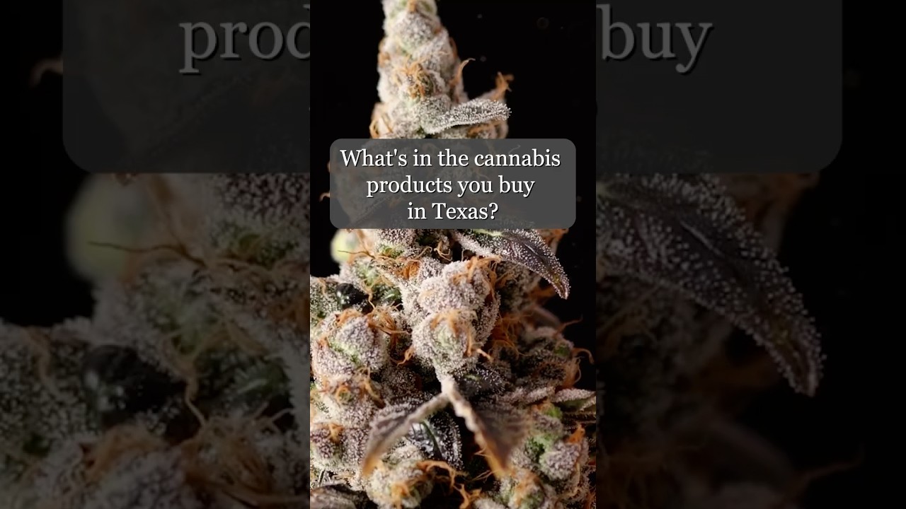 What's in Texas cannabis products?
