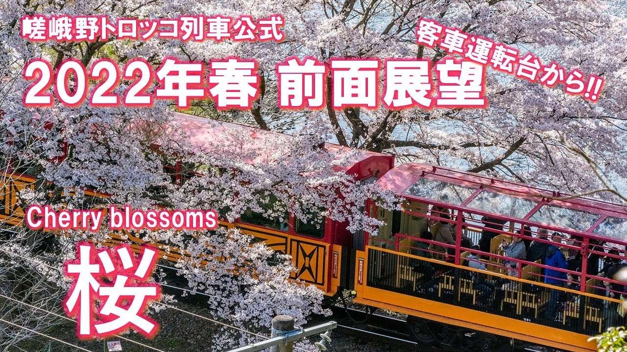 2022年春 SK運転台からの前面展望動画 (The front view of Sagano Romantic Train in spring, 2022)