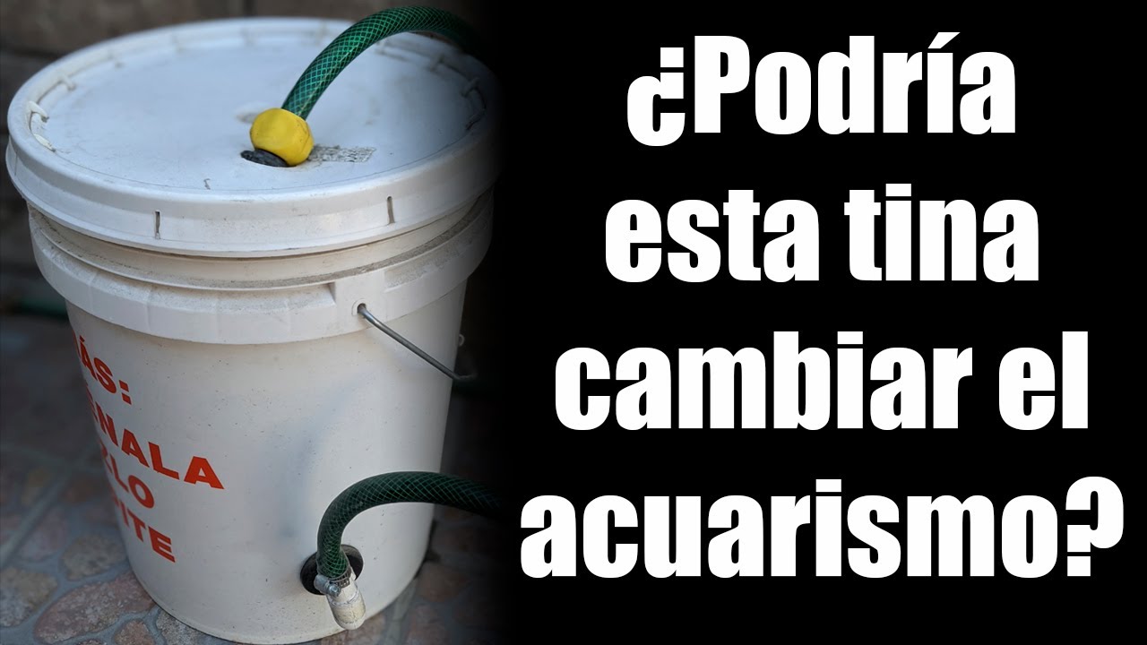 Remover Nitratos SIN Cambio de Agua o Plantas | Experimento de 100 dias