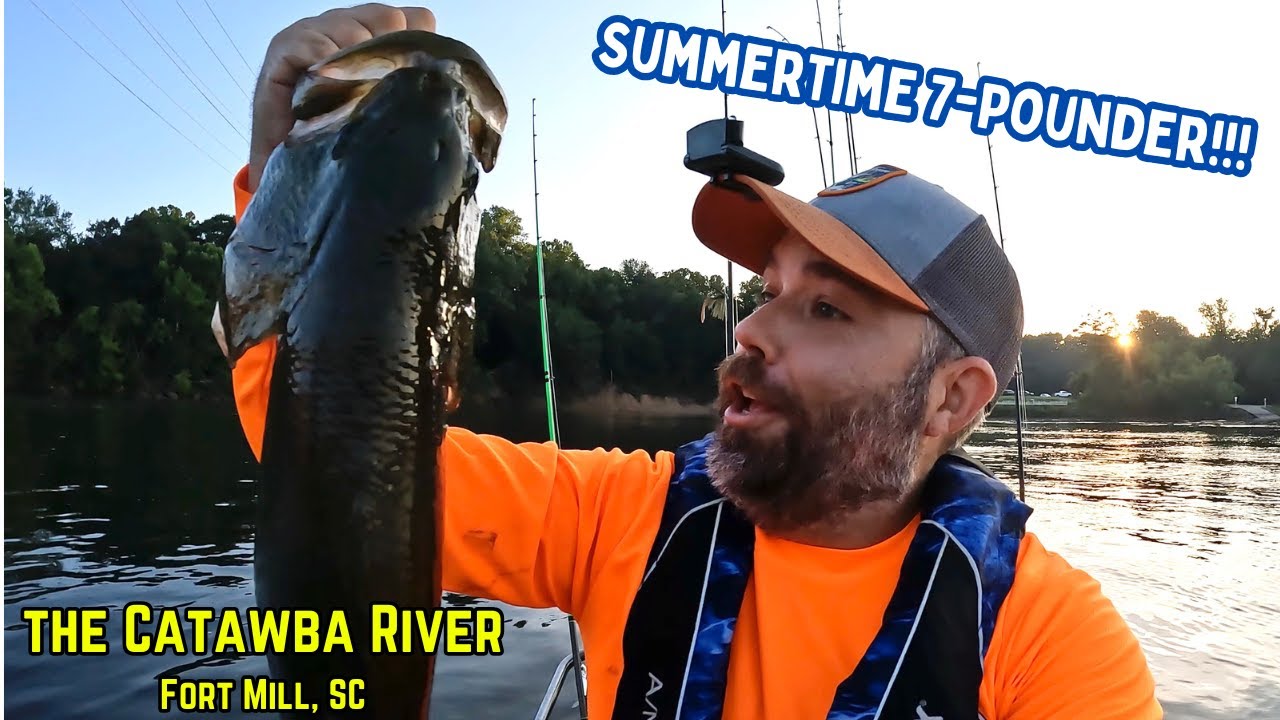 Lunker Alert! River Fishing for Summertime Bass - Catawba River / Lake Wylie Dam - Fort Mill, SC