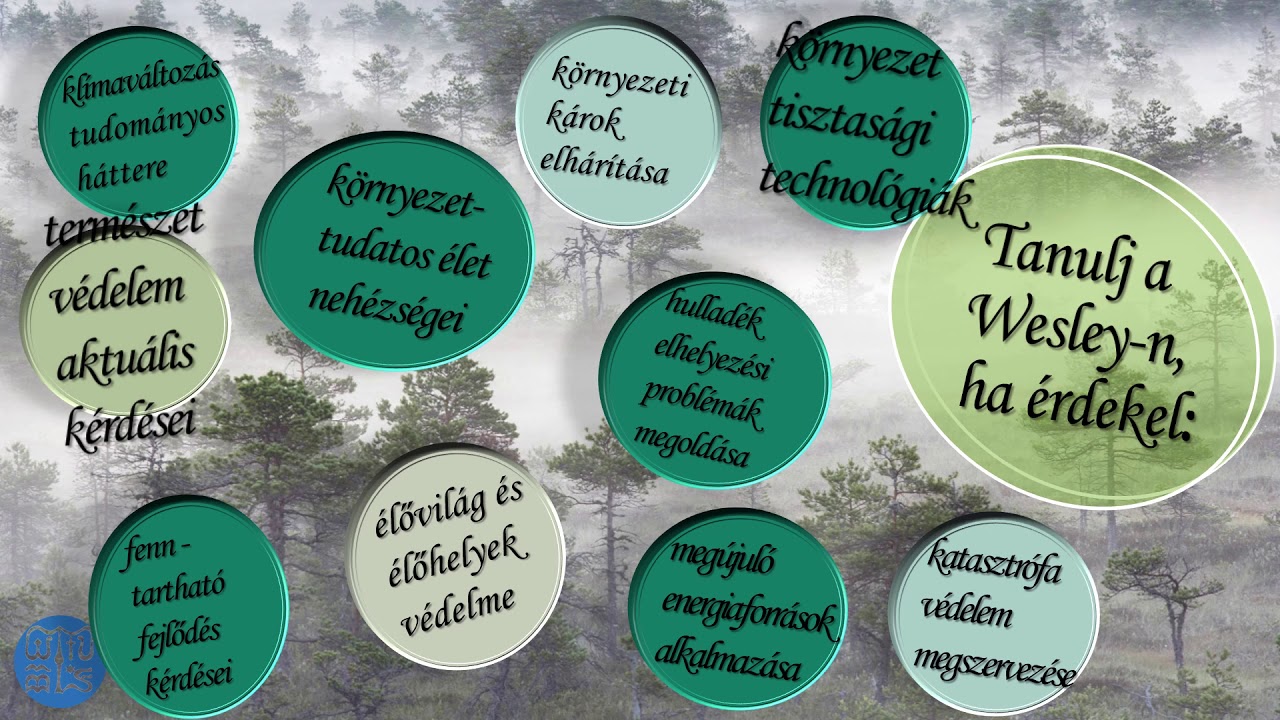 WJLF K&ouml;rnyezettan szak