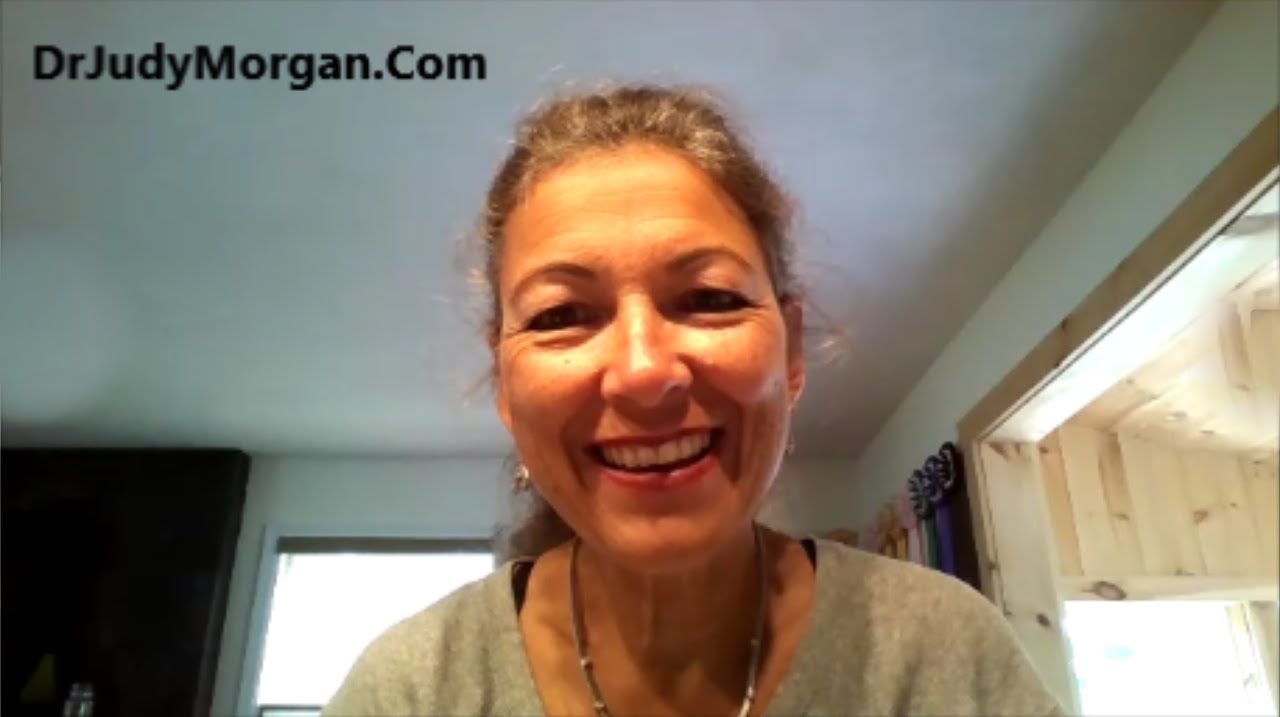 Are Flea Treatments Safe For Dogs and Cats