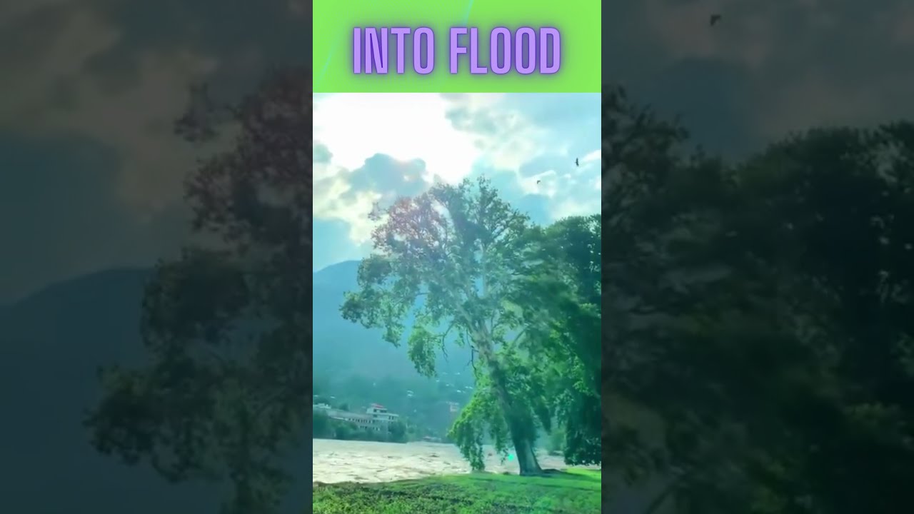 Flood Havoc  #youtubeshorts #nature