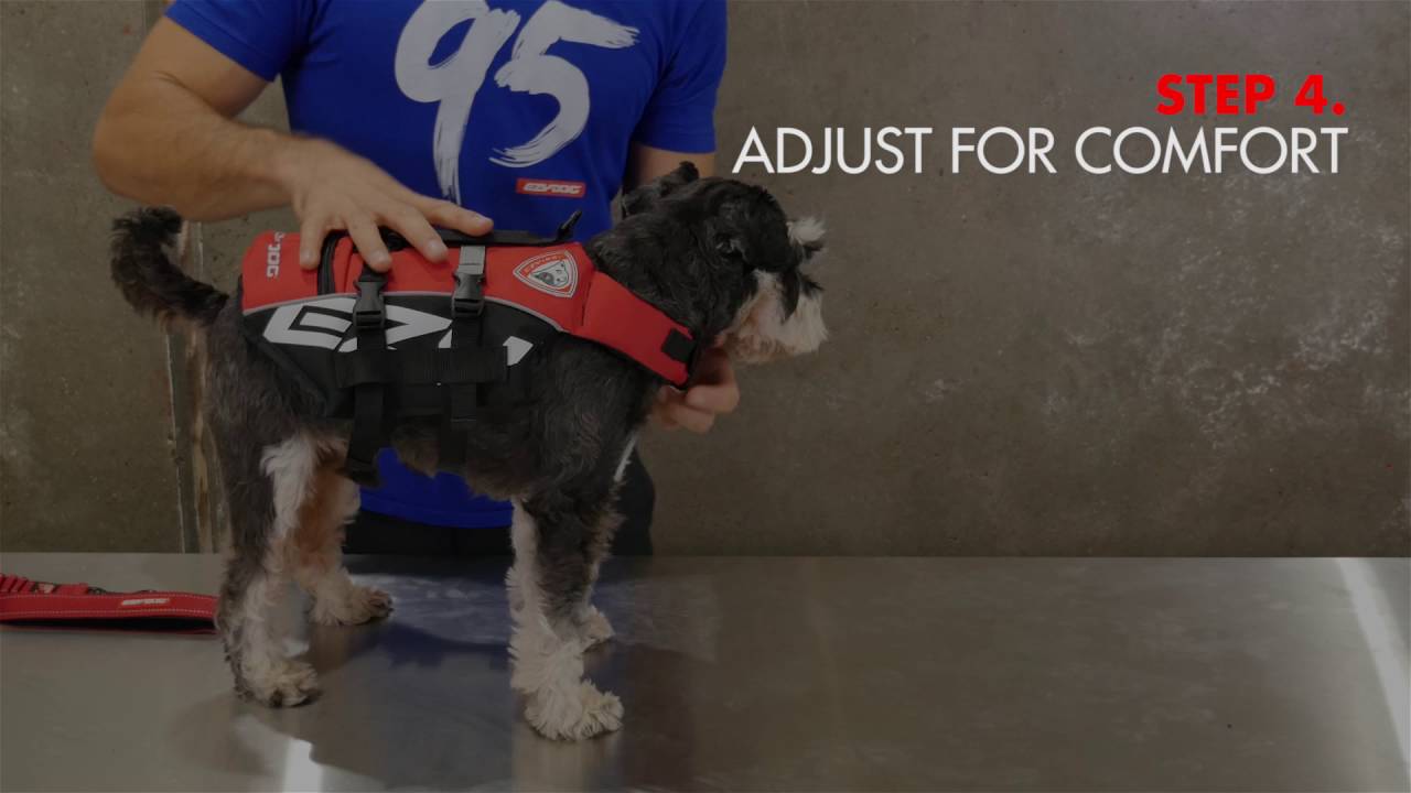 EZYDOG DFD -  Plávacia vesta