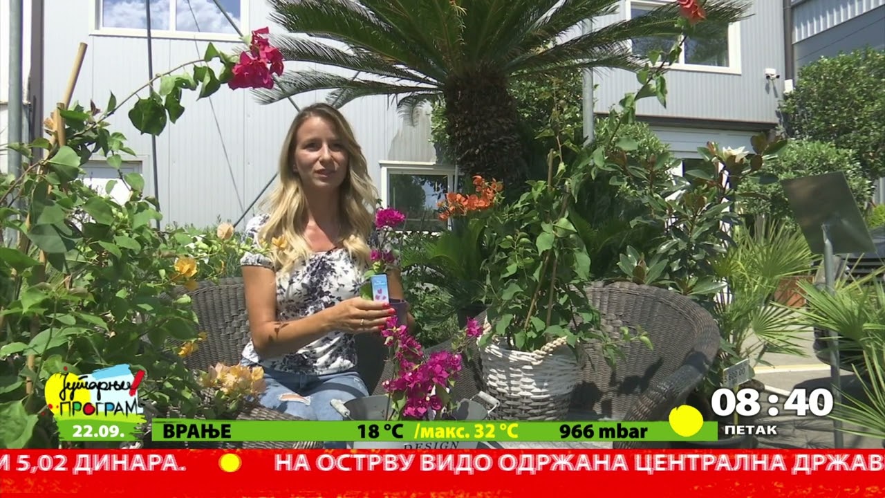 RTS JUTARNJI PROGRAM - Ritam vrta - Bogumila