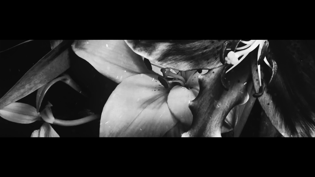 JOZEF VAN WISSEM - You Know That I Love You