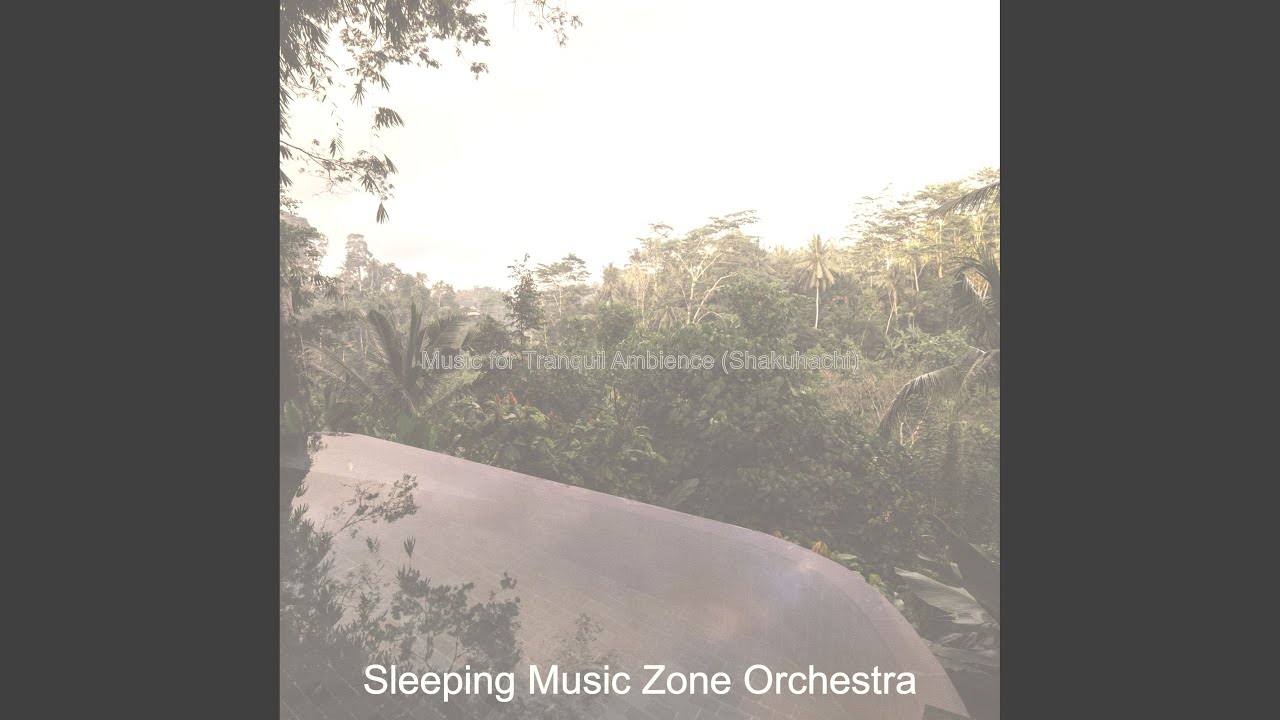 Laid-back Guitar and Flute - Vibe for Tranquil Ambience
