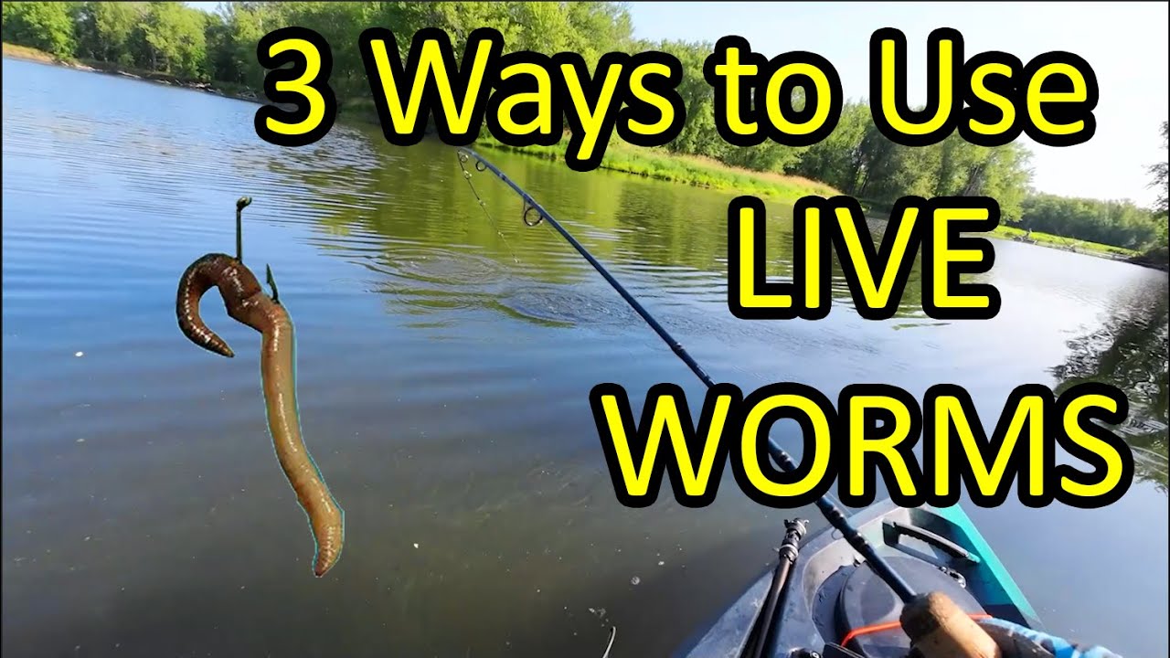 How to Catch a Fish With a Live Worm for Bait - 3 Ways (Beginner Fishing Tips)