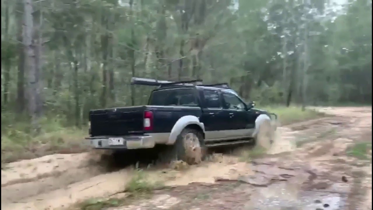 D22 Navara mud/water and Hillclimbs at Beerburrum State Forestry #navlife #navara #nissan #4x4