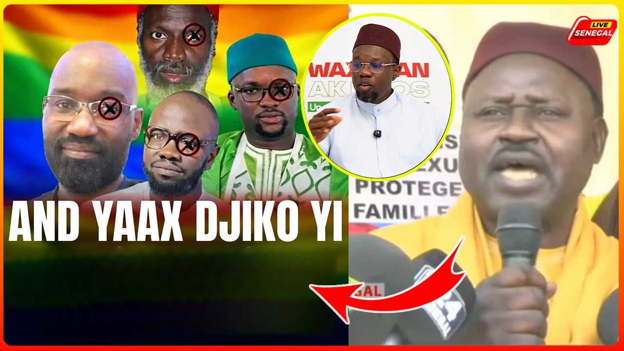Criminalisation de L'hommosexualité: Karim Xrum Xakh vomit Pape Birame bigué détruit And Samm Jikko