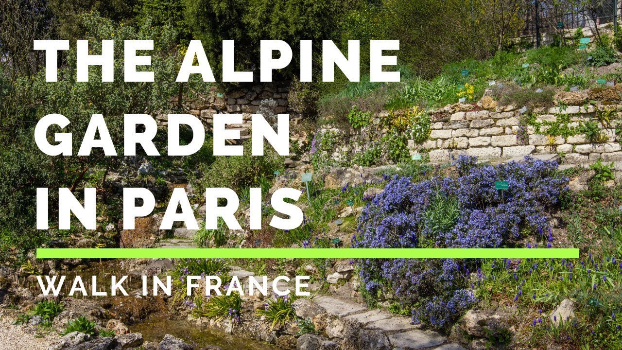 Alpine garden in Paris - Le jardin alpin à Paris