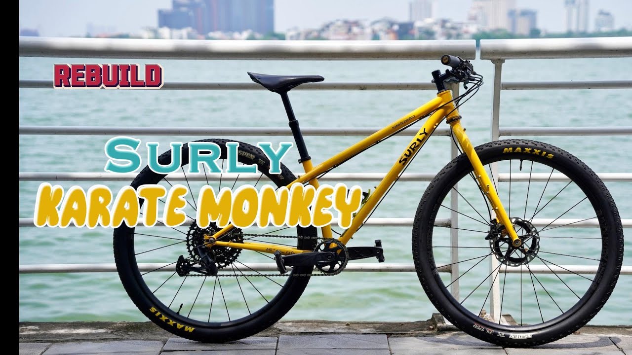 Rebuild Build - Surly Karate Monkey