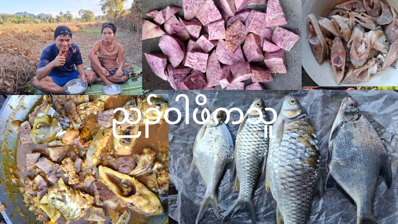 fish 🐟 🐠 🎣 ညၣ်သူမွဲ