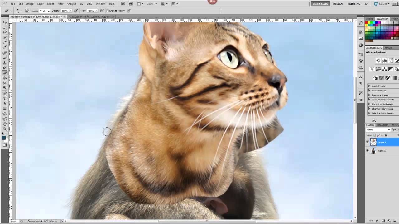 Hybrid Animal Photoshop Tutorial
