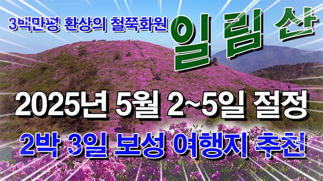 일림산 철쭉축제 5월 3~5일 가장 화려한 철쭉꽃 감상#일림산 산행코스#보성 여행지 추천 2박 3일
