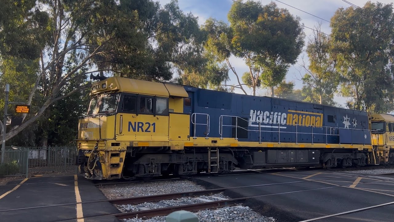 PN freight: 6AM5 with NR21, NR87 & NR1 at Hawker St (3131 & 3132 included also)