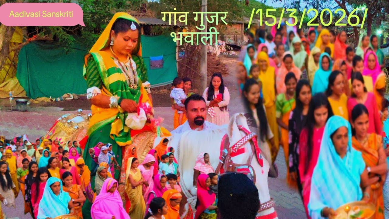 आदिवासी संस्कृति शादी गुजर भवाली/15/3/2026/