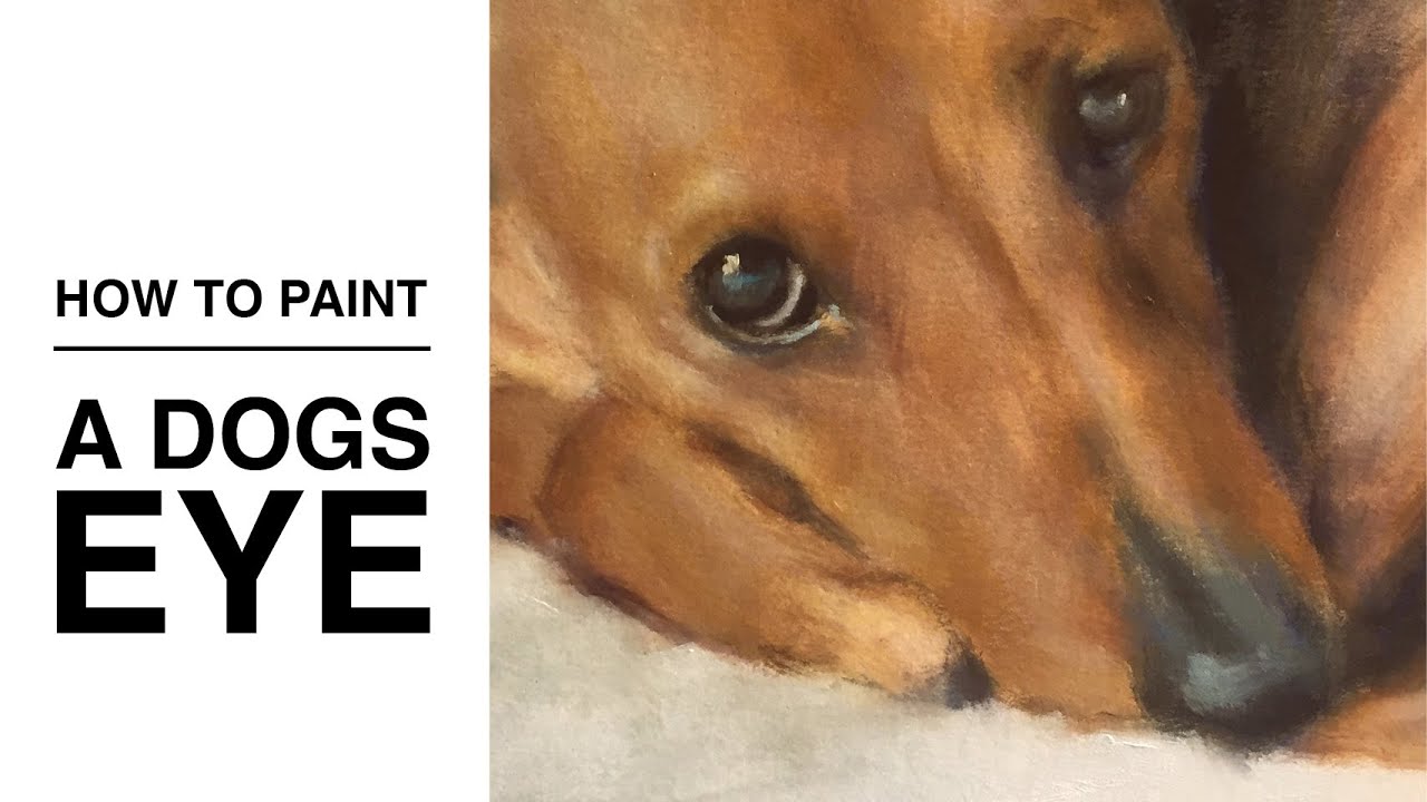 Learn How To Paint A Dogs Eye In Oils. Painting Demo