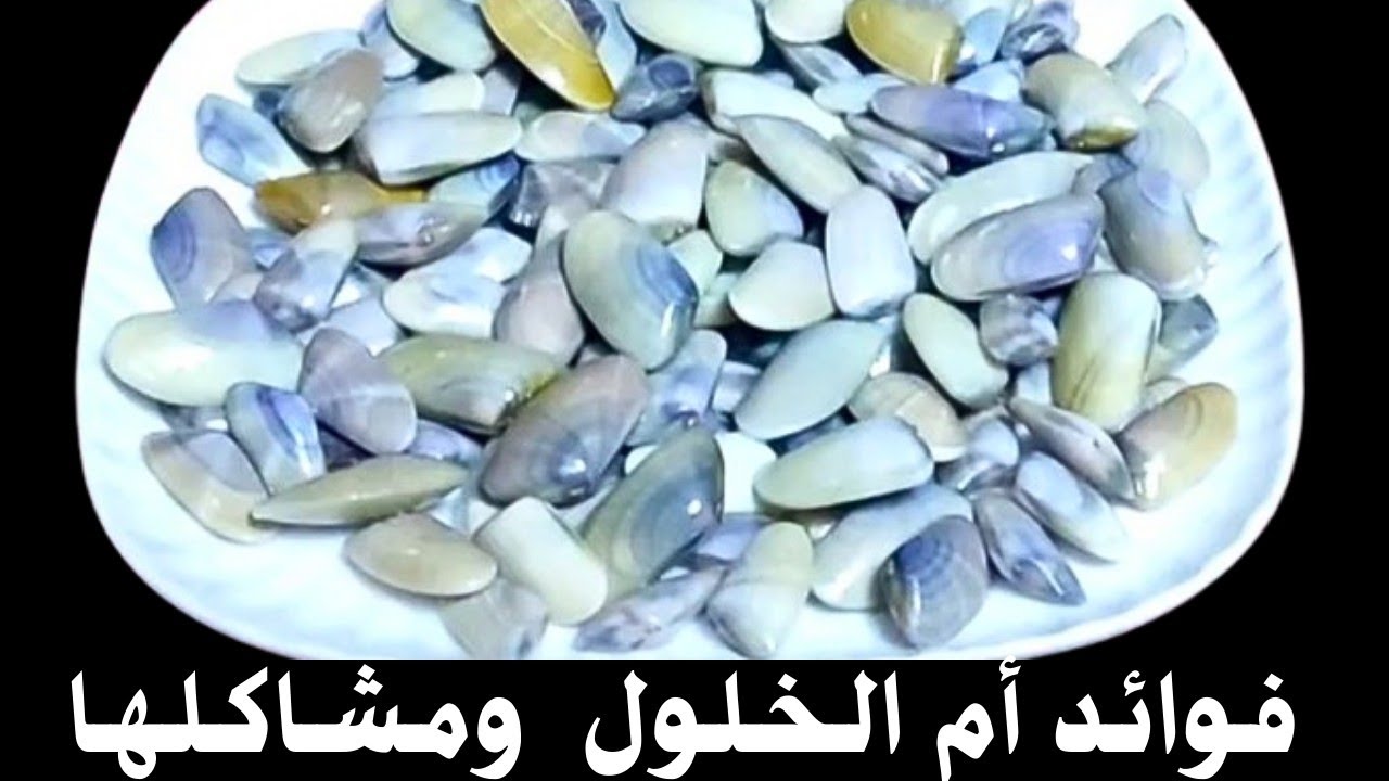 ام الـخـلـول وفـوائـدهـا الـعـديـدة وأنـواعـهـا وازاى نـتـجـنـب مـشـاكـلـهـا