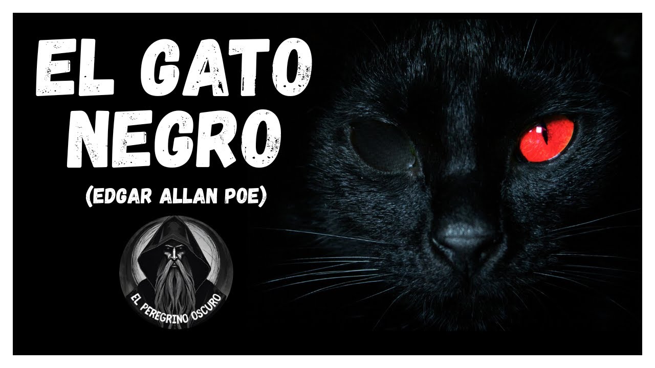 EL GATO NEGRO | Relato de terror | Edgar Allan Poe