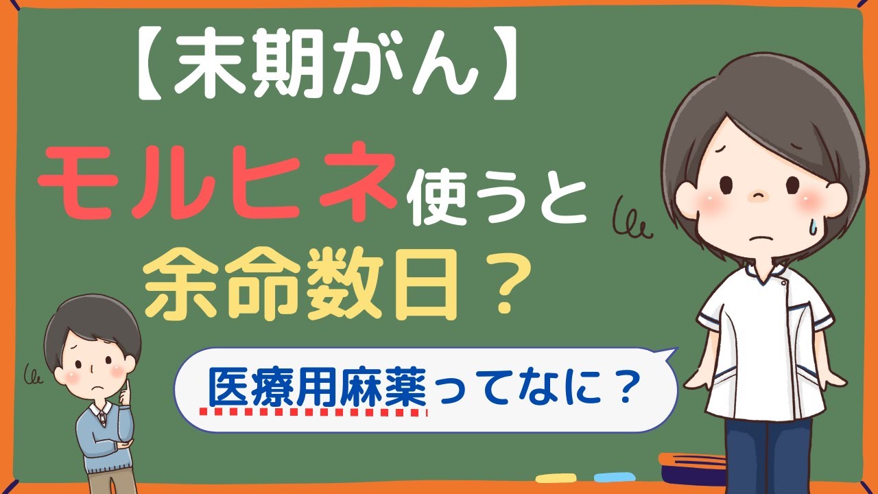 【末期がん】モルヒネを使うと余命は数日？医療用麻薬の基礎知識を易しく解説