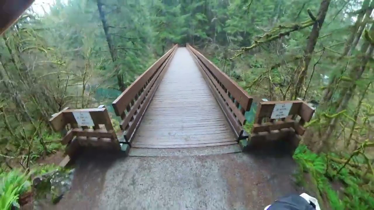 Bells Mountain - Sword Fern Loop Hike - with commentary #moulton #hiking
