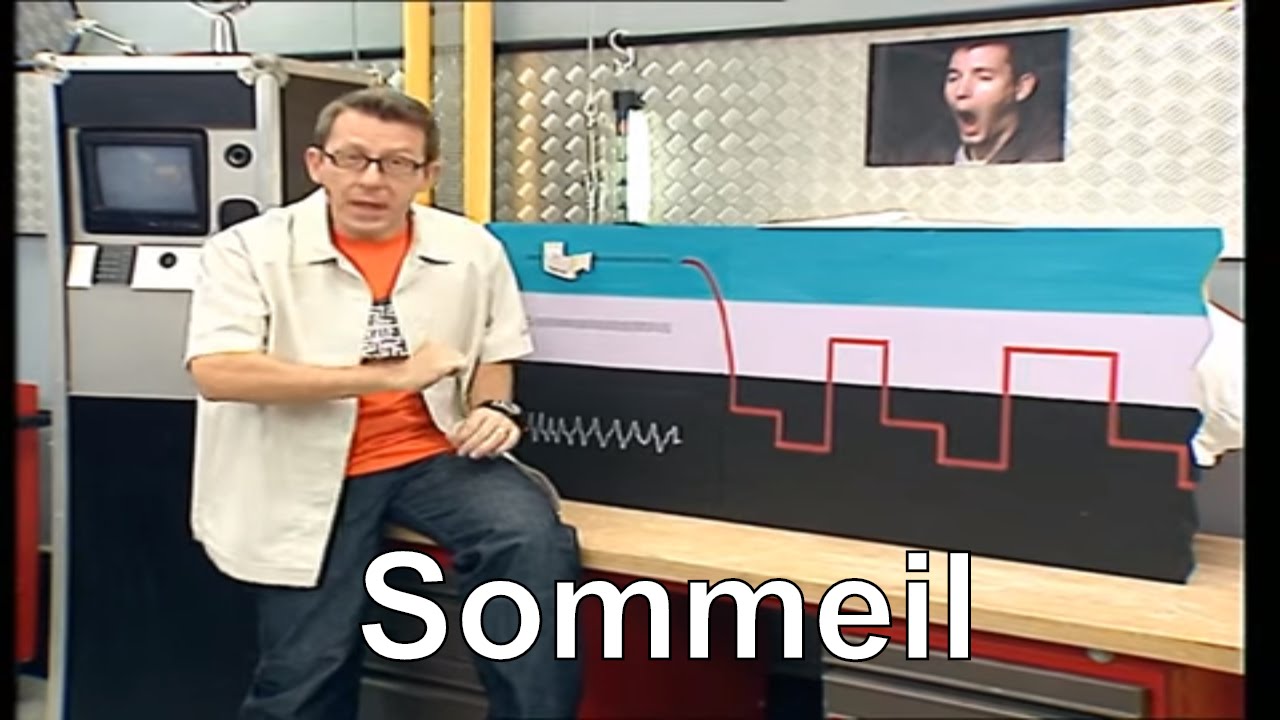 Quelles sont les diff&eacute;rentes phases de sommeil ? - C'est pas sorcier