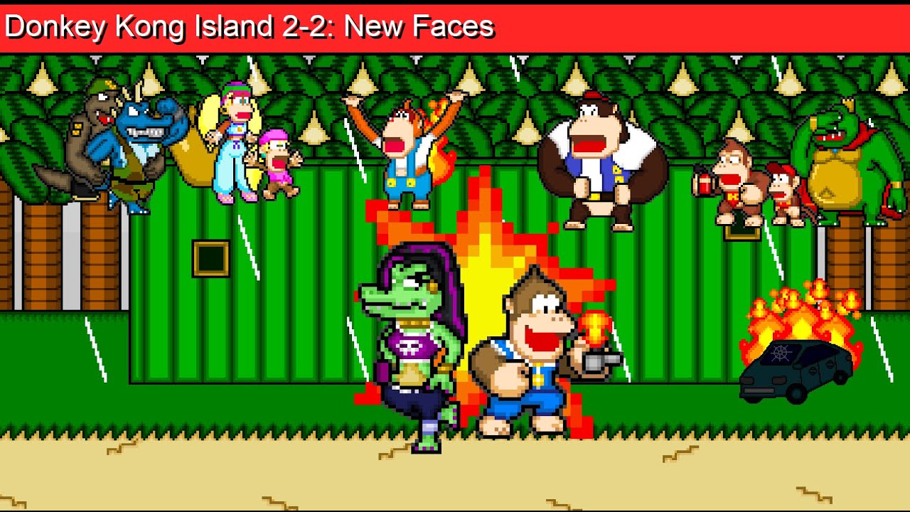 Donkey Kong Island 2-2: New Faces