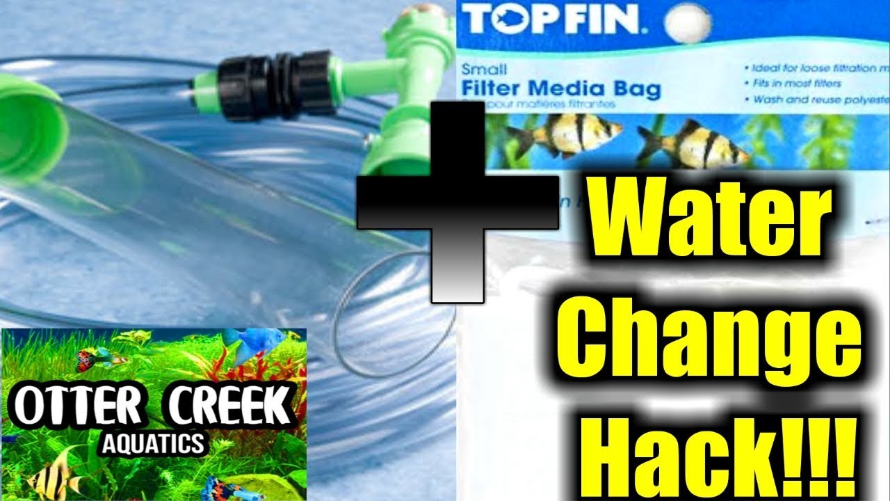 How to do a water change in a fry tank | How to do a water change with a python