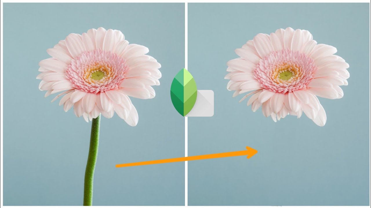 How to use healing tool in Snapseed || how to remove object