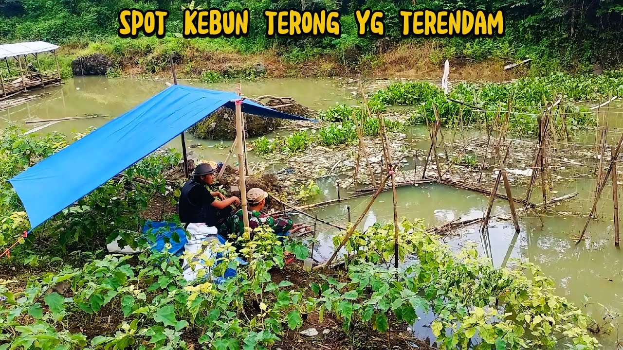 MANCING DI KEBUN WARGA YG TERENDAM AIR CIRATA | fishing & cooking