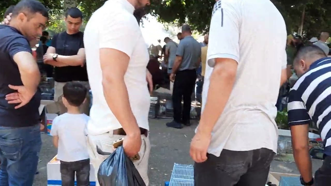 سوق الطيور كل يوم جمعه في نابلس