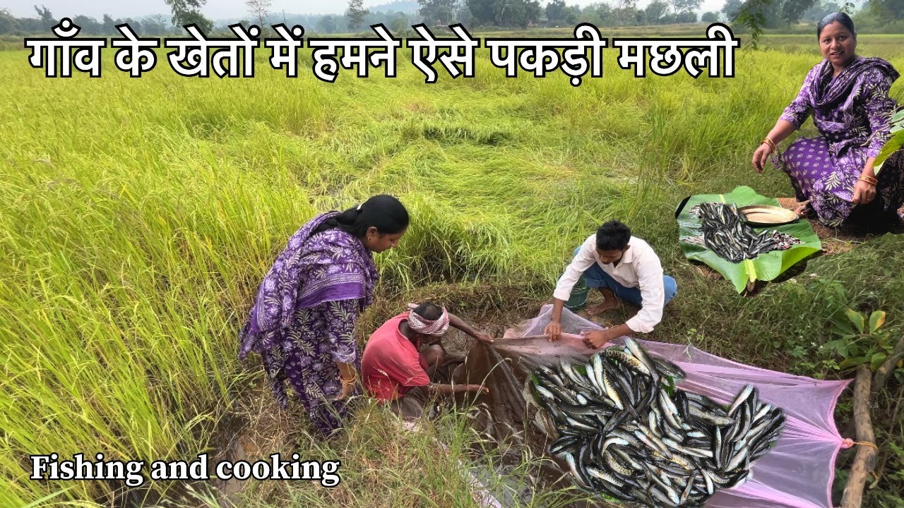 आज हमने गांव के धान  खेतों में ढेर सारा मछली पकड़ा/Village Fish Catching InPaddy Field