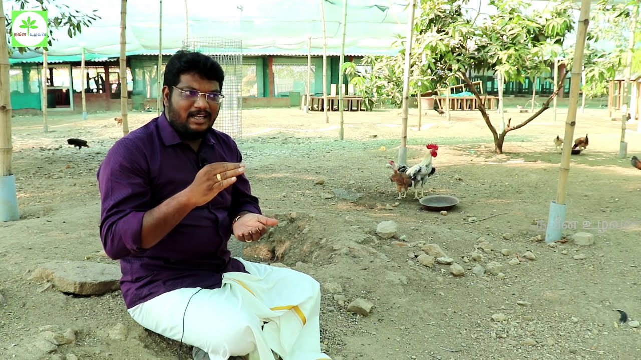 100 நாட்டுக்கோழிகள் திட்டம், சோதனை முயற்சி | 100 hen project