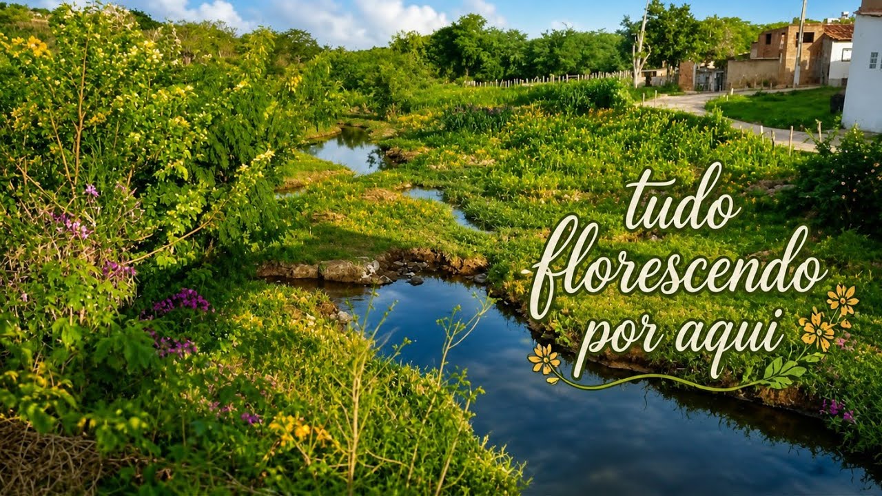 FOMOS VER COMO FICOU DEPOIS DE UMA MADRUGADA INTEIRA CHOVENDO SEM PARAR/RIOS,LAGOS E AÇUDES CHEIOS🌧️