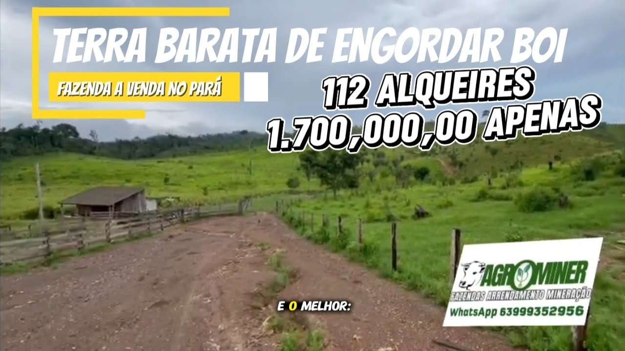 Fazenda barata à venda no Pará